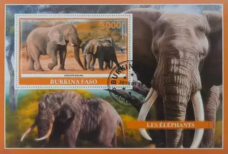 Блок. Буркино-Фасо 2019. Фауна. Животные Африки. Слоны.