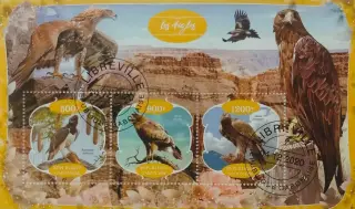 Малый лист. Габон 2020. Фауна. Хищные птицы.