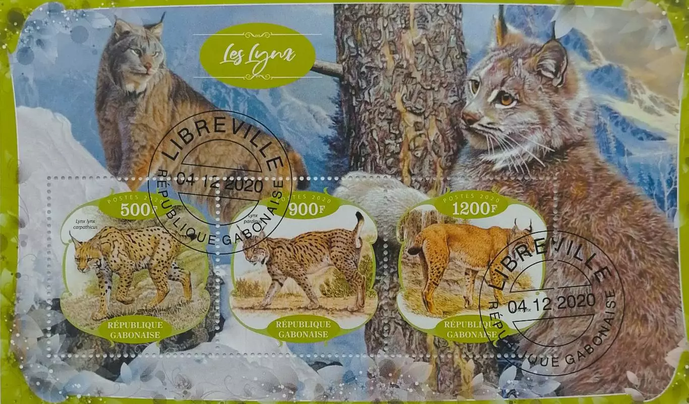 Малый лист. Габон 2020. Фауна. Рысь.
