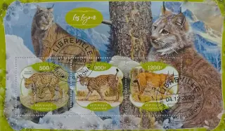 Малый лист. Габон 2020. Фауна. Рысь.