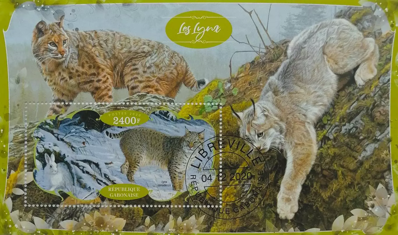 Блок. Габон 2020. Фауна. Рысь.
