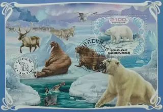 Блок. Габон 2019. Фауна. Животный мир Арктики.