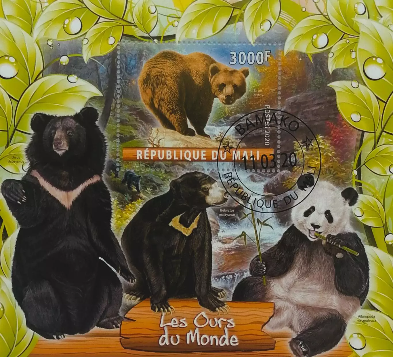 Блок. Мали 2020. Фауна. Медведи.
