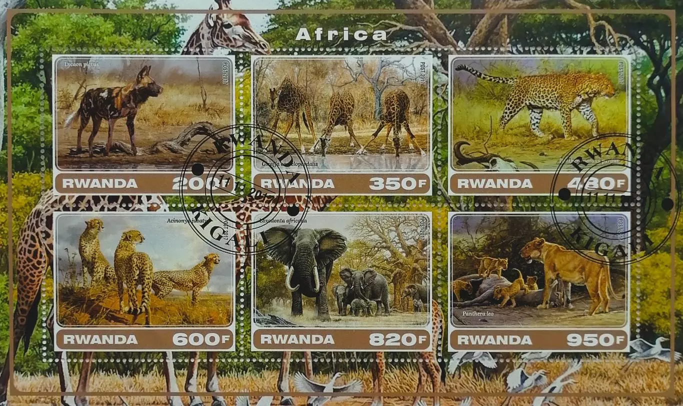 Малый лист. Руанда 2017. Фауна. Дикие животные Африки.
