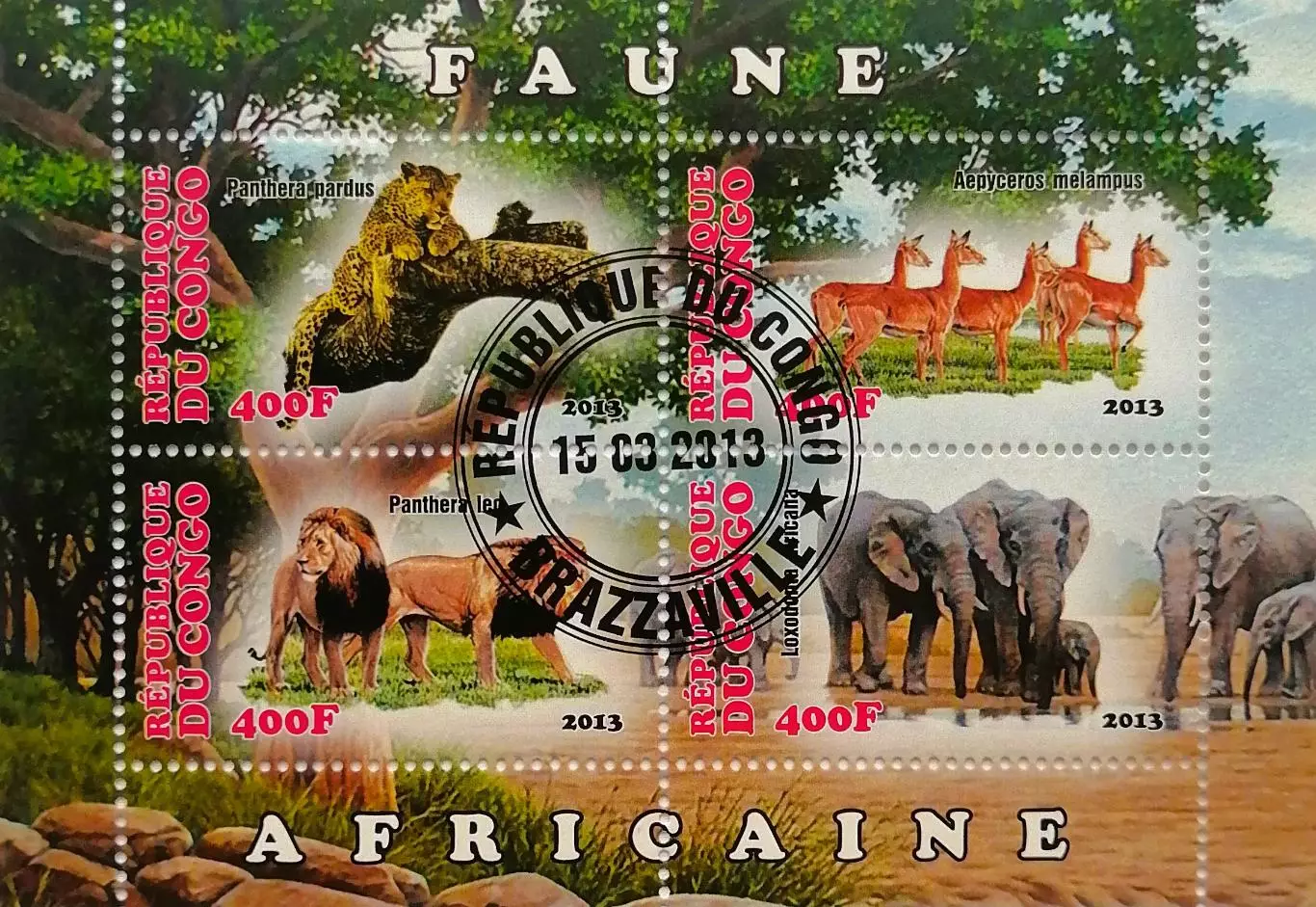 Малый лист. Конго 2013. Фауна. Дикие животные Африки. (1)