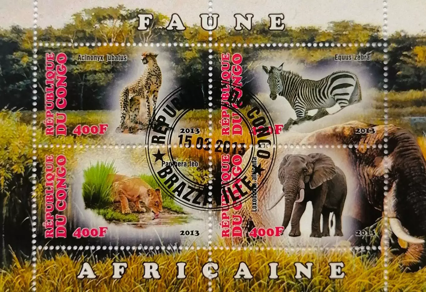 Малый лист. Конго 2013. Фауна. Дикие животные Африки. (2)