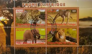 Малый лист. Конго 2009. Фауна. Дикие животные Африки.