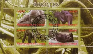 Малый лист. Конго 2009. Фауна. Дикие животные Африки. Гориллы.