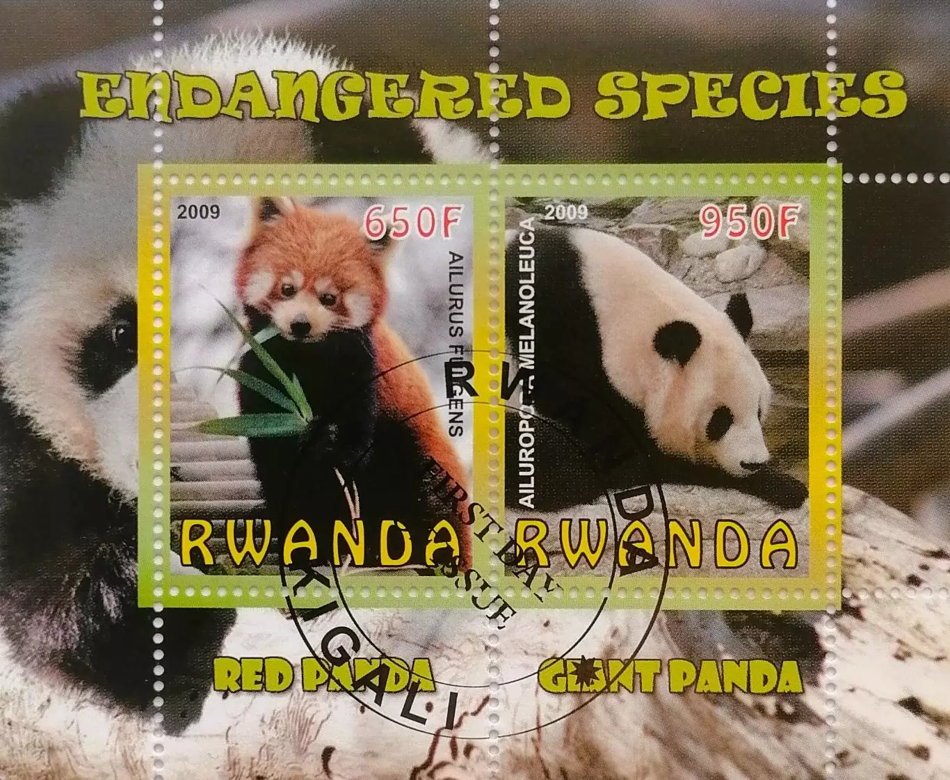 Малый лист. Руанда 2009. Фауна. Панды.