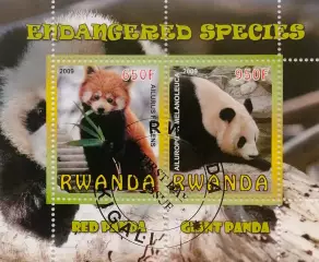 Малый лист. Руанда 2009. Фауна. Панды.