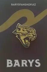 Значок. ХК Барыс Астана.