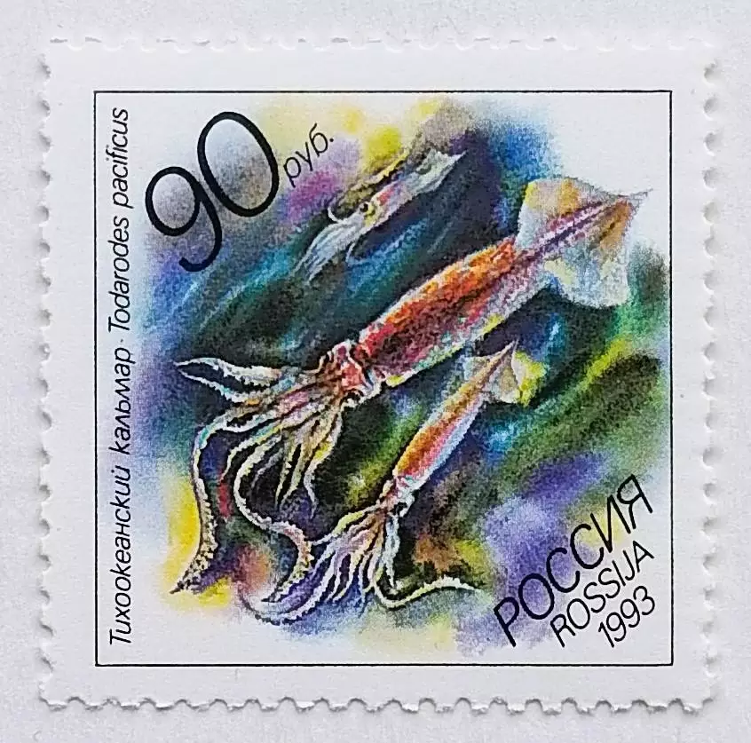 Россия 1993. Животные морей Тихоокеанского региона. Тихоокеанский кальмар.