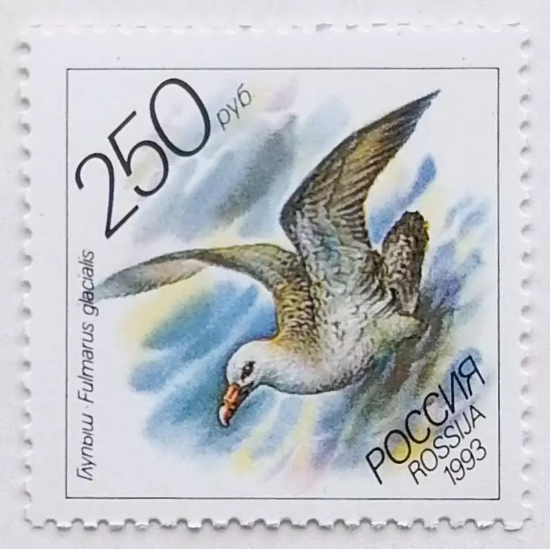 Россия 1993. Животные морей Тихоокеанского региона. Глупыш.