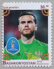 Башкортостан 2018. Чемпионат мира по футболу. Россия 2018. Игорь Акинфеев.