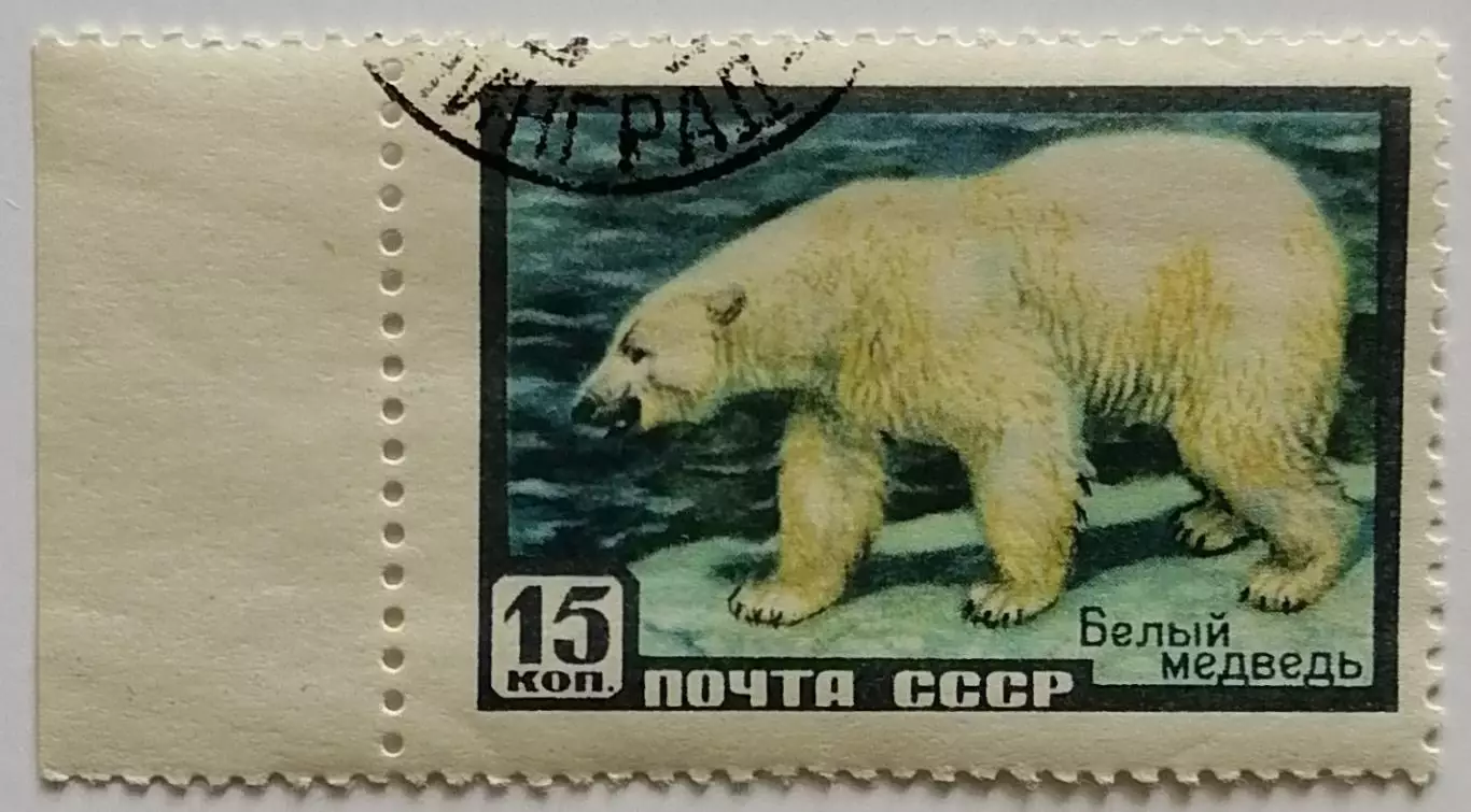 СССР 1957. Фауна СССР. Белый медведь.*