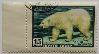 СССР 1957. Фауна СССР. Белый медведь.*
