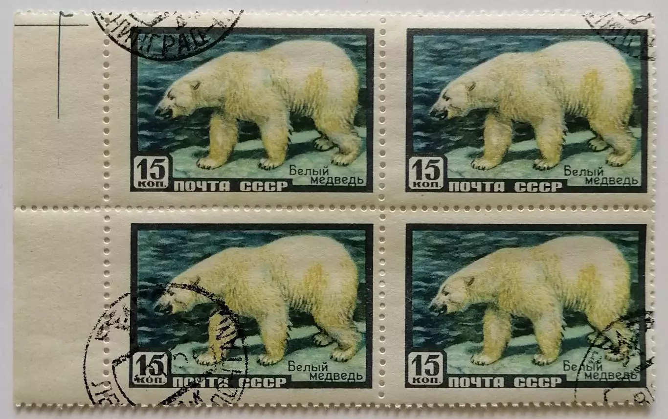 СССР 1957. Фауна СССР. Белый медведь. Квартблок.*
