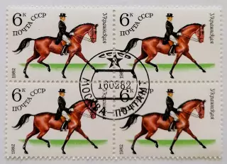 СССР 1982. Коневодство в СССР. Украинская. Квартблок.*