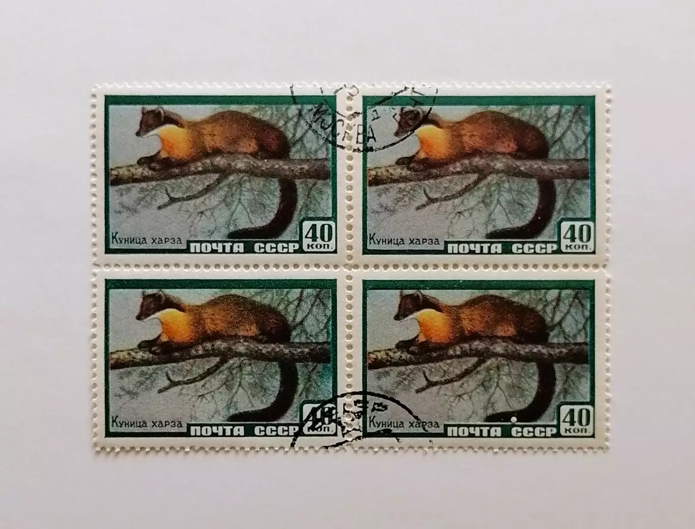 СССР 1959. Фауна СССР. Куница харза. Квартблок.