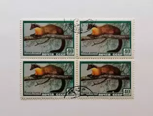СССР 1959. Фауна СССР. Куница харза. Квартблок.