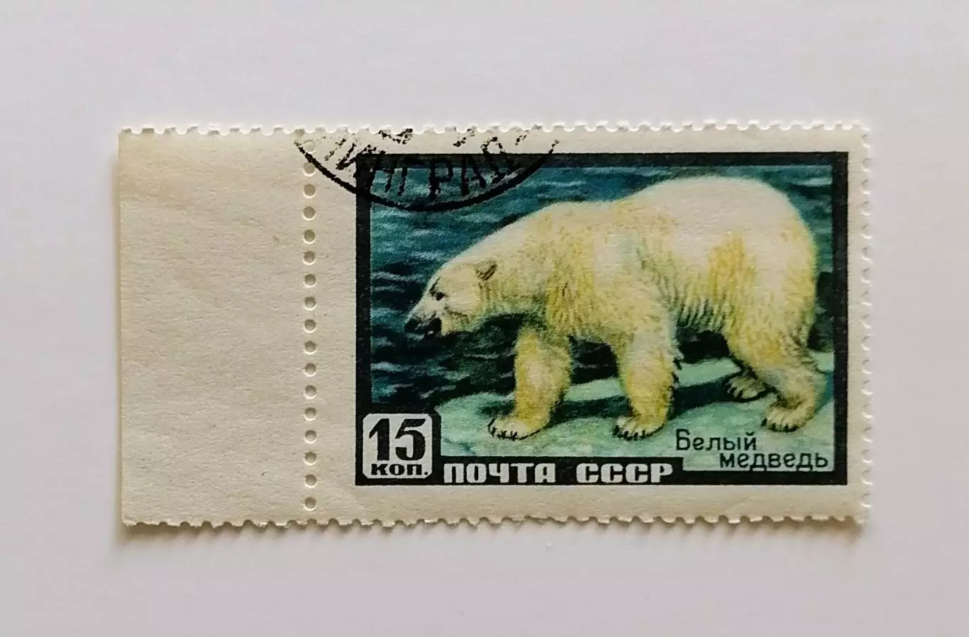 СССР 1957. Фауна СССР. Белый медведь.