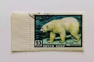 СССР 1957. Фауна СССР. Белый медведь.