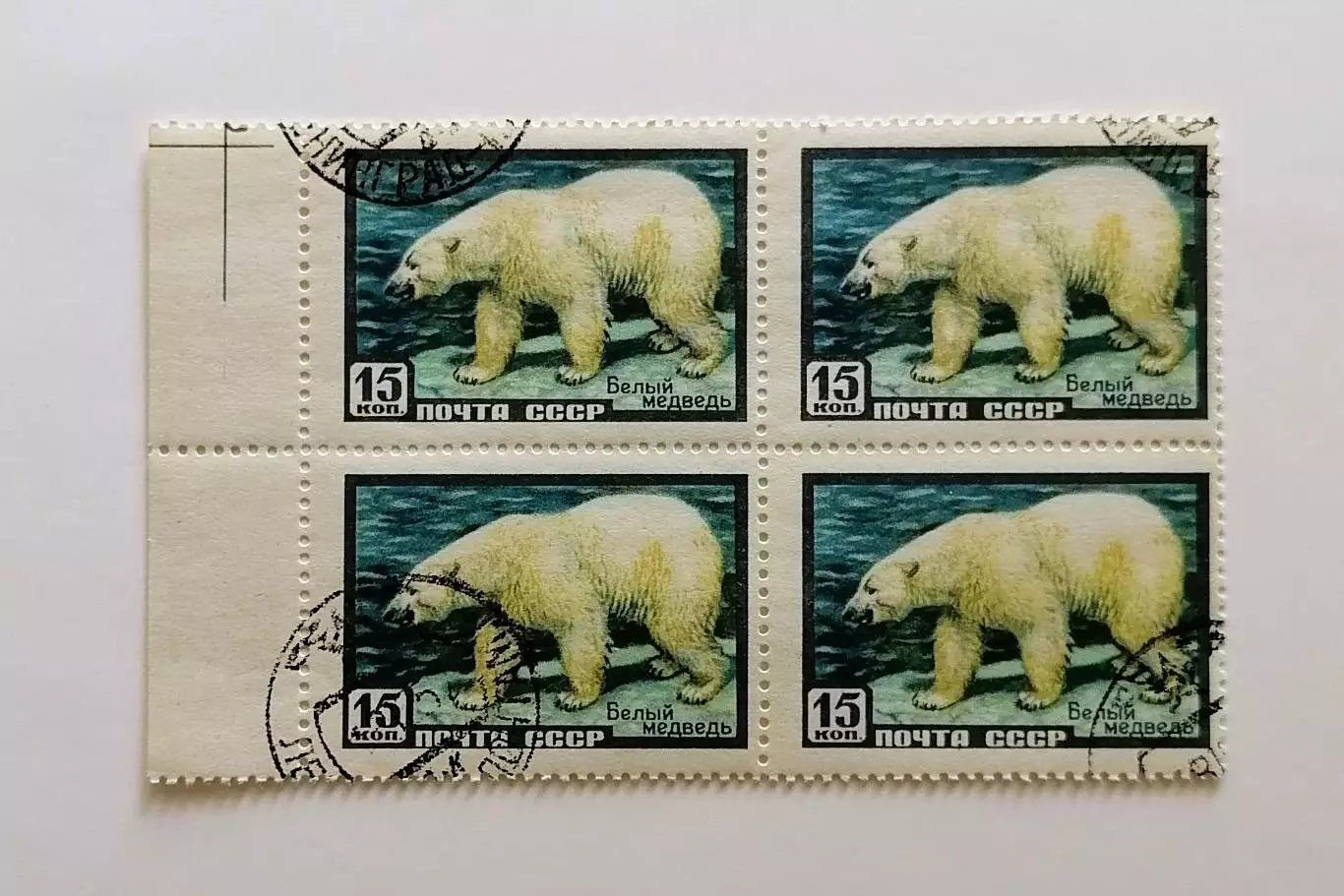 СССР 1957. Фауна СССР. Белый медведь. Квартблок.