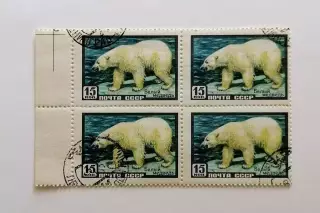 СССР 1957. Фауна СССР. Белый медведь. Квартблок.