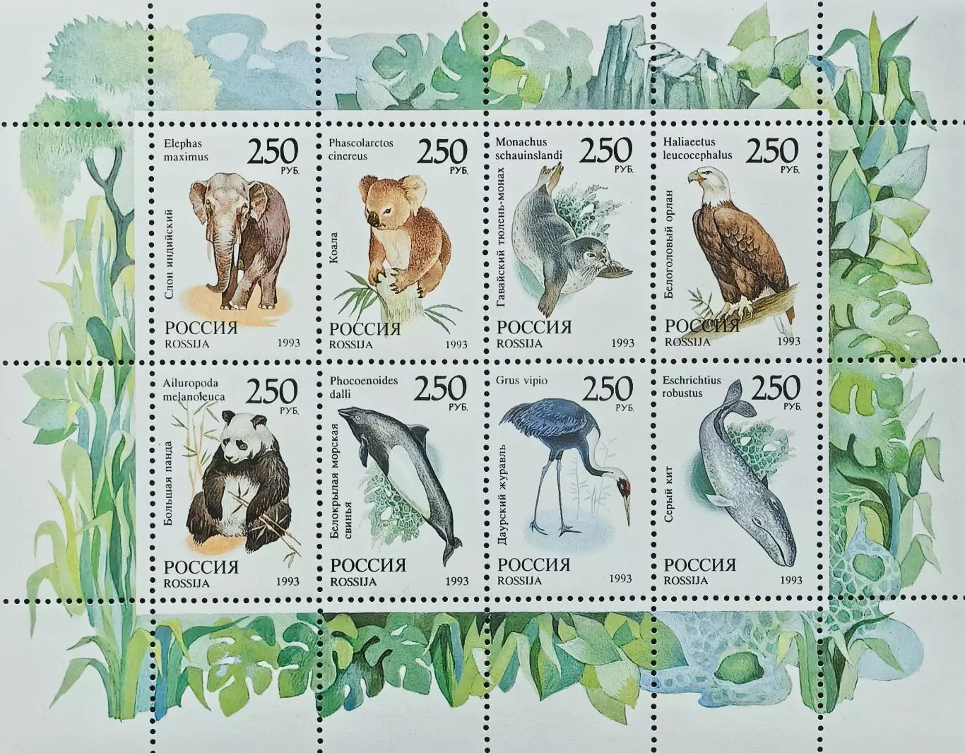 Малый лист. Россия 1993. Фауна мира.