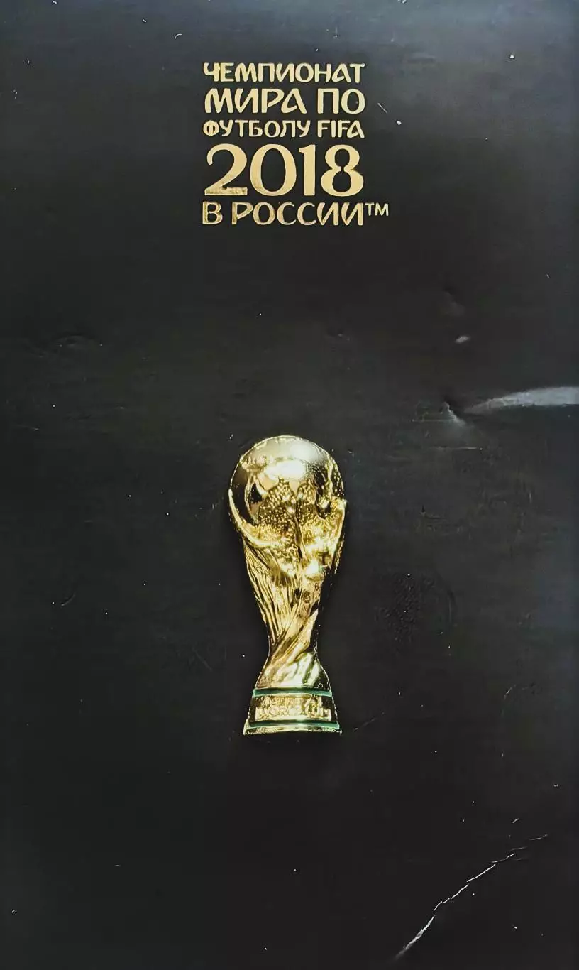 Значок. Чемпионат мира по футболу 2018. Кубок. 3 см.