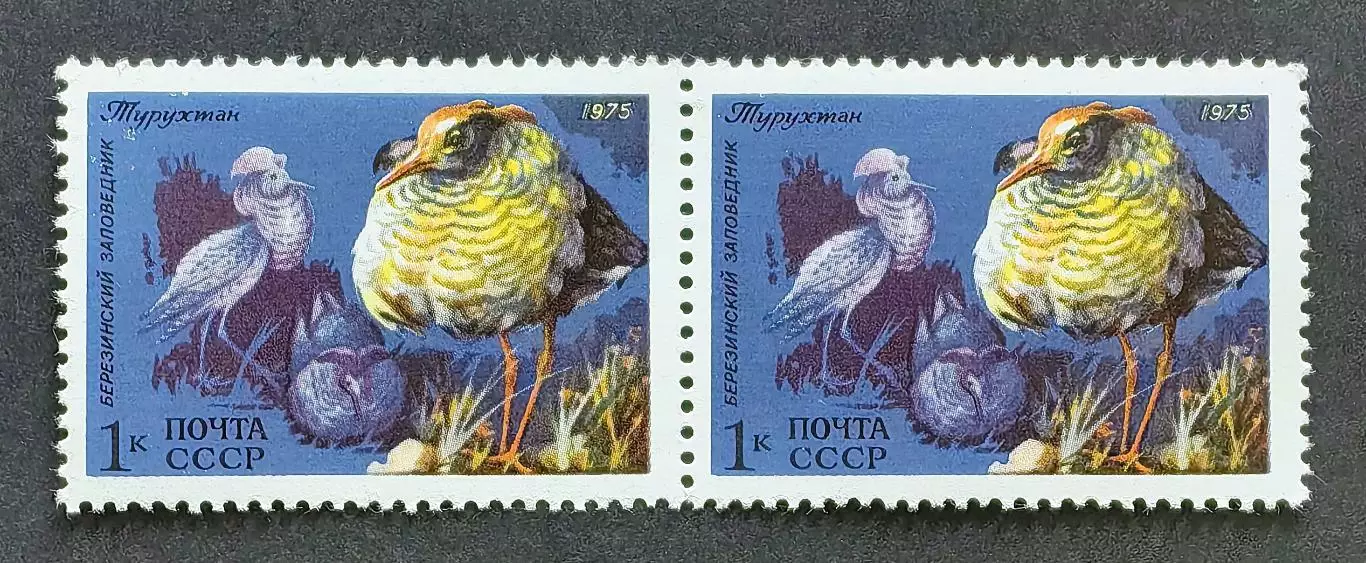 СССР 1975.Фауна СССР. Турухтан. Пара.1.