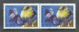 СССР 1975.Фауна СССР. Турухтан. Пара.1.