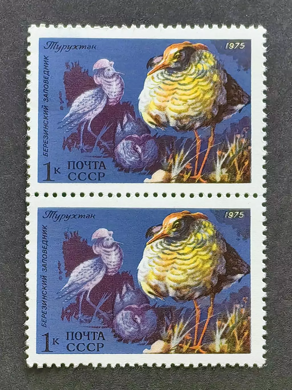 СССР 1975.Фауна СССР. Турухтан. Пара.2.