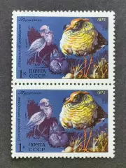 СССР 1975.Фауна СССР. Турухтан. Пара.2.