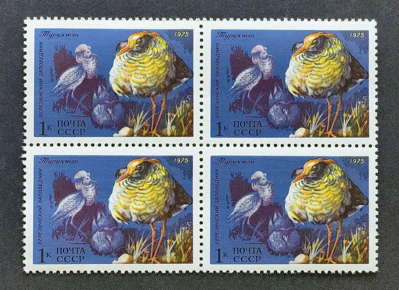 СССР 1975.Фауна СССР. Турухтан. Квартблок.