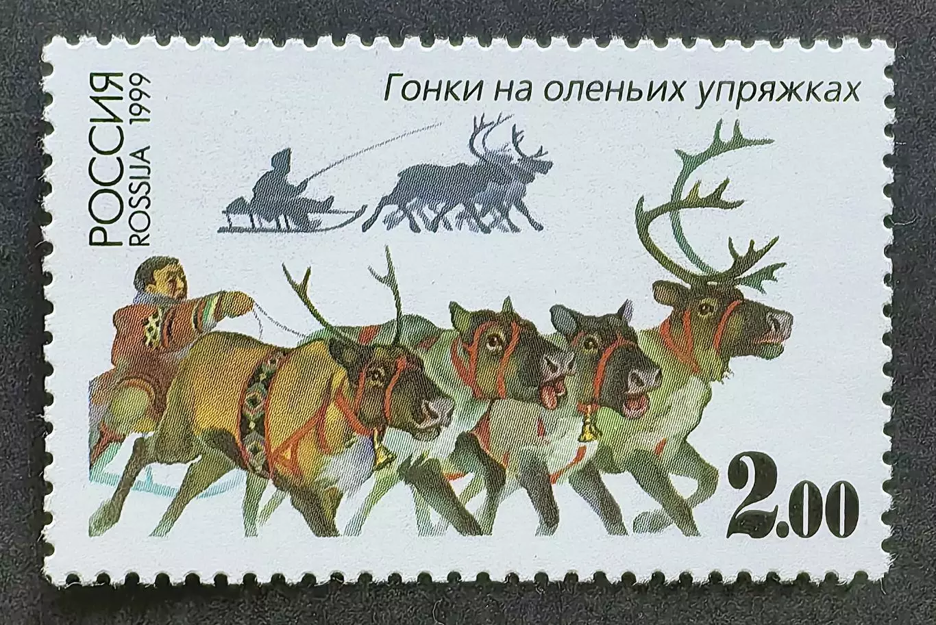 Россия 1999. Спортивные игры народов России. Гонки на оленьих упряжках.