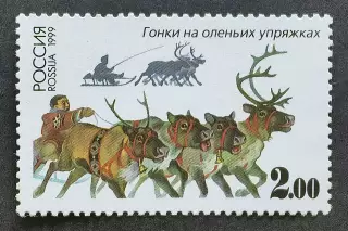 Россия 1999. Спортивные игры народов России. Гонки на оленьих упряжках.