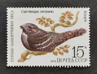СССР 1979. Птицы - защитники леса. Козодой.