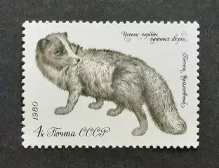 СССР 1980. Ценные породы пушных зверей. Песец вуалевый.