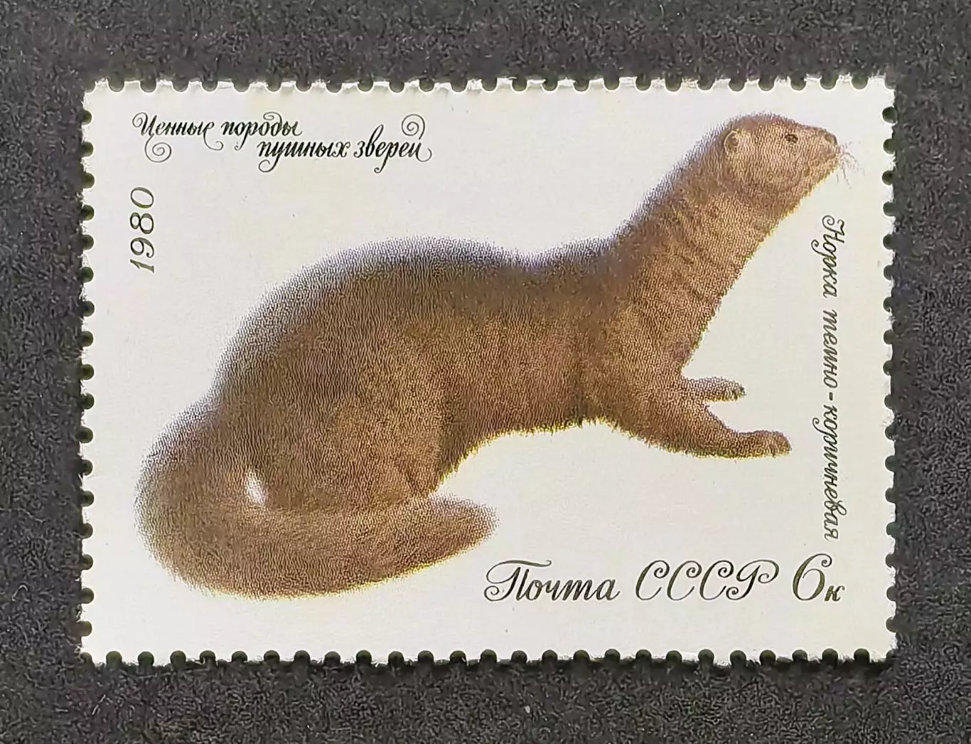 СССР 1980. Ценные породы пушных зверей. Норка.