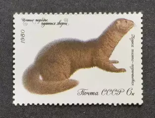 СССР 1980. Ценные породы пушных зверей. Норка.