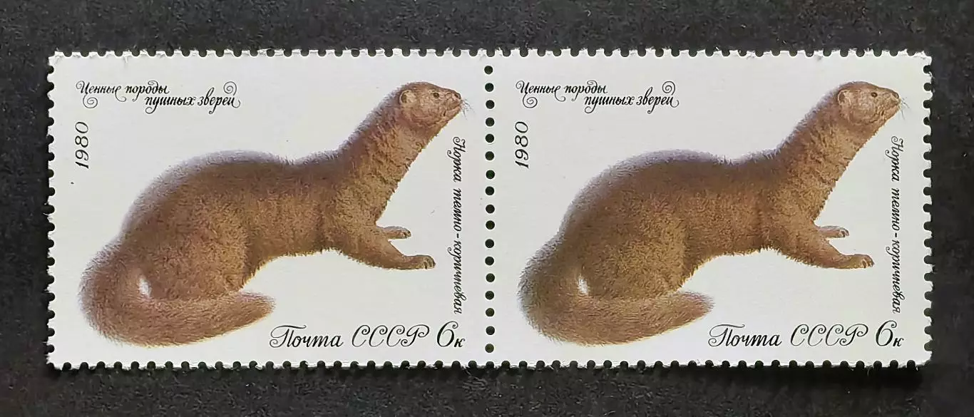 СССР 1980. Ценные породы пушных зверей. Норка. Пара.1.