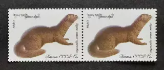 СССР 1980. Ценные породы пушных зверей. Норка. Пара.1.