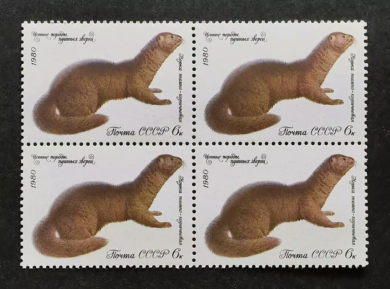 СССР 1980. Ценные породы пушных зверей. Норка. Квартблок.
