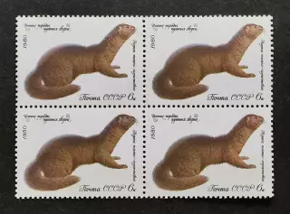 СССР 1980. Ценные породы пушных зверей. Норка. Квартблок.