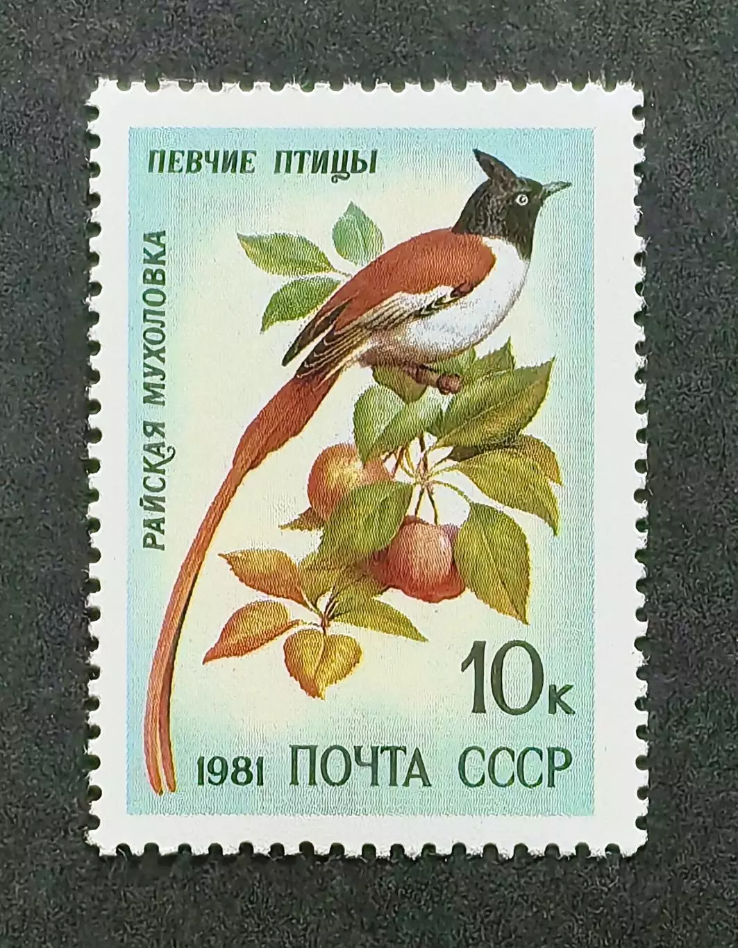 СССР 1981. Певчие птицы. Райская мухоловка.
