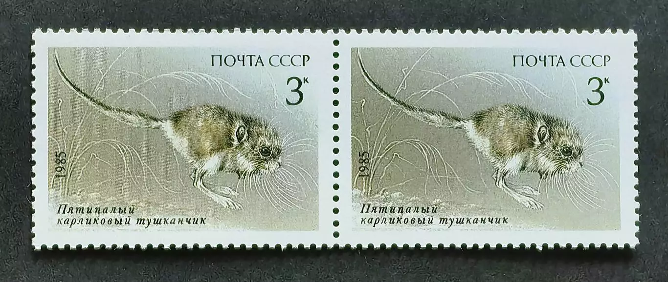 СССР 1985. Животные Красной книги СССР. Тушканчик. Пара.1.
