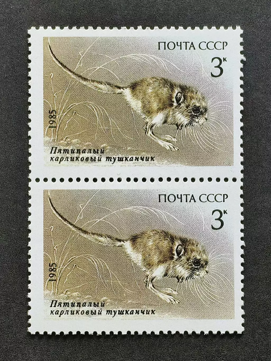 СССР 1985. Животные Красной книги СССР. Тушканчик. Пара.2.