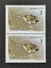 СССР 1985. Животные Красной книги СССР. Тушканчик. Пара.2.