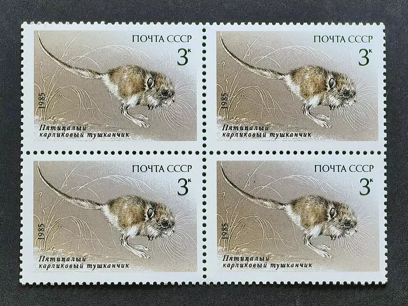 СССР 1985. Животные Красной книги СССР. Тушканчик. Квартблок.